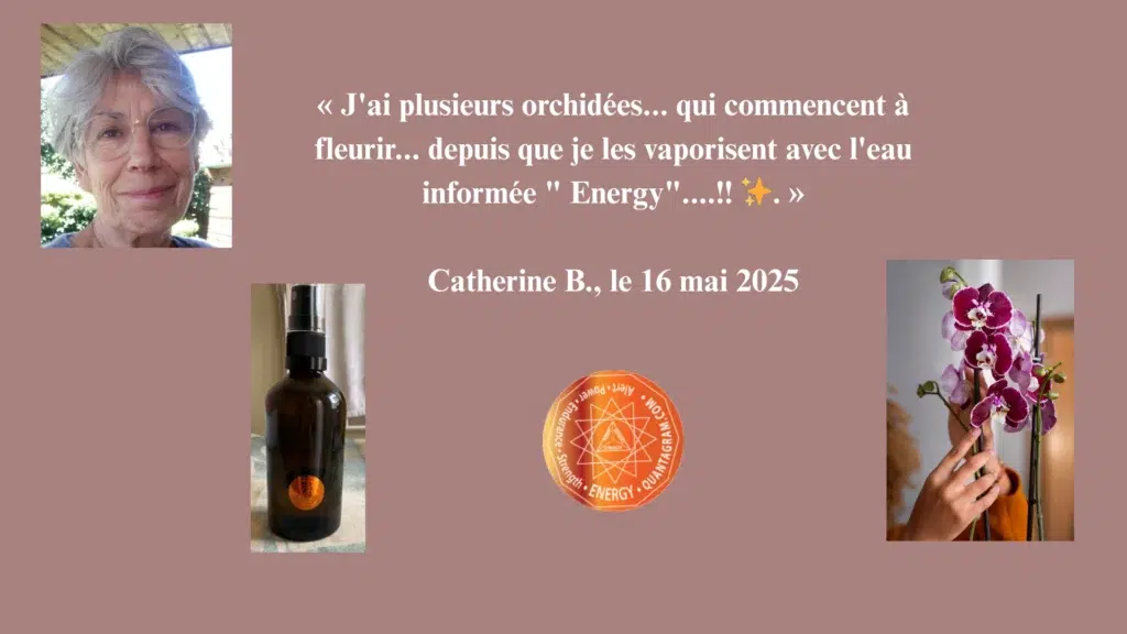 Les orchidées de Catherine apprécient l'eau informée !