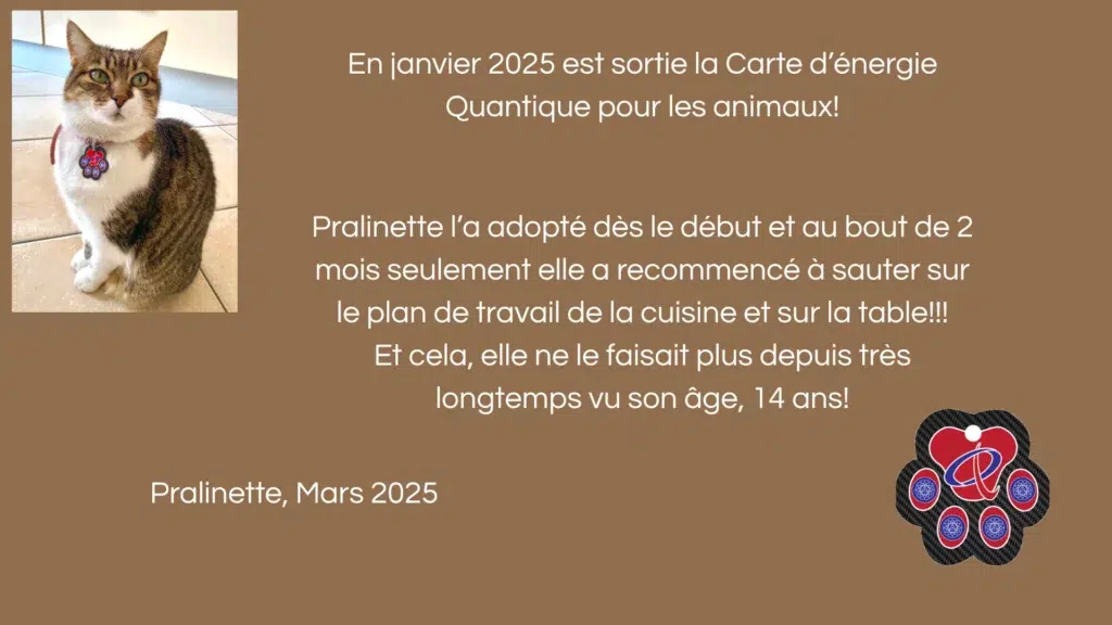 Pralinette porte fièrement son quantapet