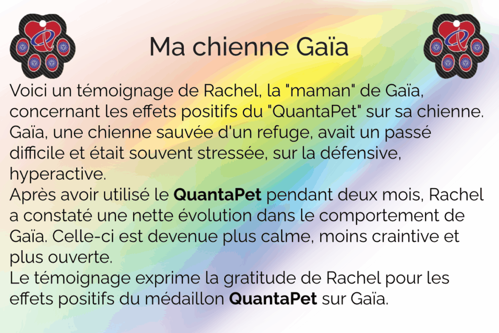 Gaïa, la chienne soignée avec le QuantaPet