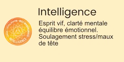 Intelligence t